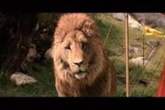 Analyticals of Narnia