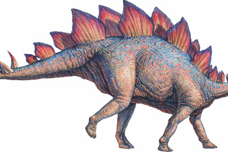 Stegosaurus