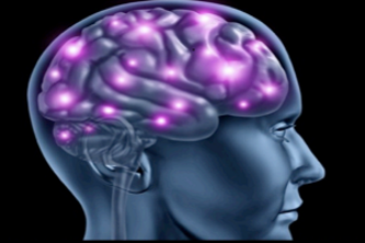 *Albany* Mental Harmony (24b)