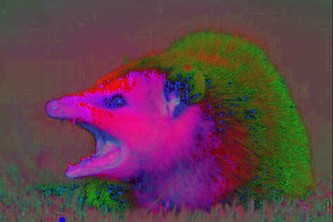 "Facial" recognition (23c)