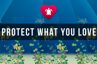 Protect What You Love