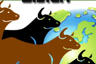 BullMap