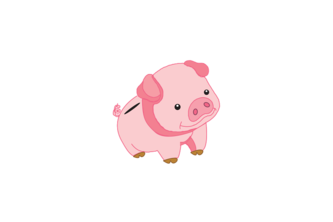 Budget Pig