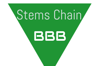 BBBlockchain: StemChain