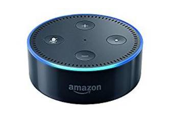 Alexa Skill Educational Spelling Tool