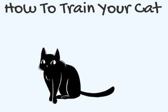 How To Train Your Cat
