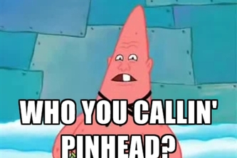 programming for pinheads