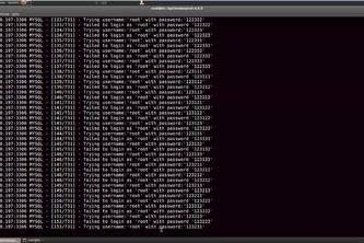 Needle in the Haystack!