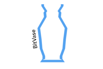 BitVase