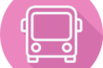 Revolutionizing the rural transport