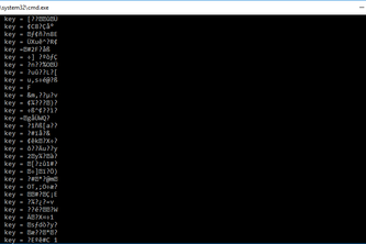 Distributed Forcing using Java RMI