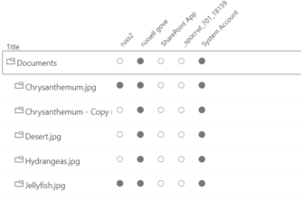 SharePoint Security Grid