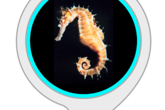 Seahorse Facts Alexa Skill
