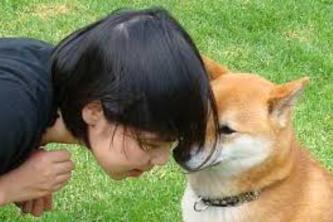 Animals Talk