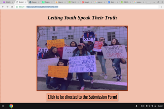 Youth Voice
