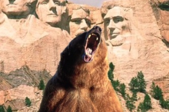 The Great Bear Adventure