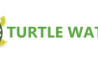 Turtle Watch