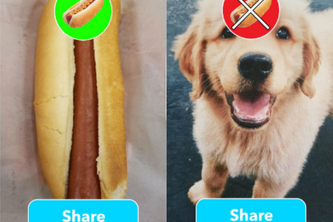 Hot-dog/ no hot-dog (Animal Shelter)