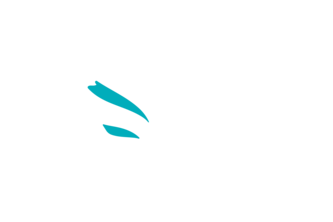 بروجكت التفاني في العمل 