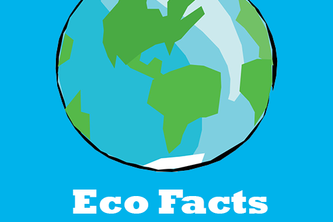 Eco Facts