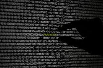 Semi_Zero_Copy_Sniffer