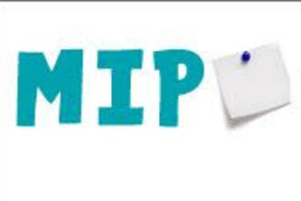 22_MIP
