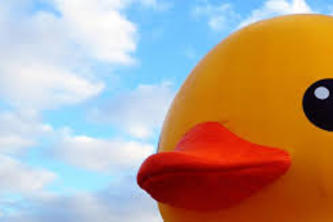 Foreign Born Guidance (FBG)