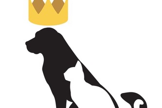 Reigning Cats & Dogs