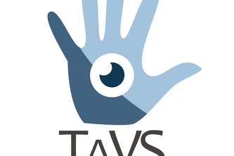 TaVS - Tactile Vision System 