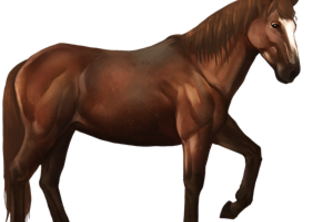 Pony Up!