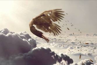 Icarus Kicks