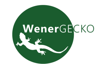 wenrgecko