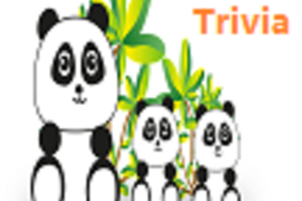 China Trivia with Alexa APL