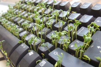 Life Jacket: A Post-Digital Wearable