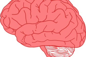 Cortex: Memory Card Game