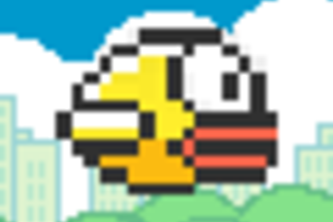 Clumsy bird 
