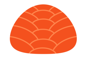Coral Board