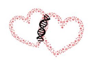 Gene Matchmaker