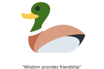 wisdomduck