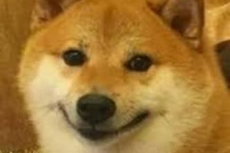 ITradeNetwork Case Failure Prediction Model