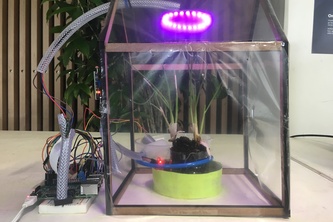 Greenhouse for spoiled plant.