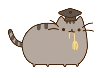 KollegeKitty