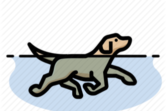 SwimDawg