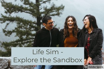 Life Sim