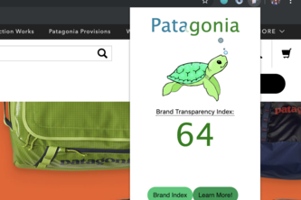 Fashion Sustainability, a Chrome Extension
