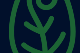 #FoodTrack (leaf :early plants disease detection using CNN) 