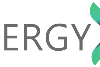 Energy X