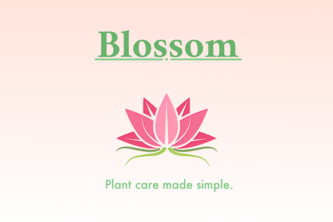 Blossom