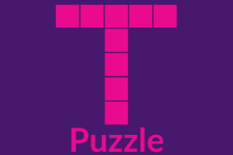 T-Puzzle