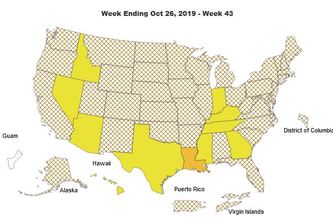 Disease Disaster Relief